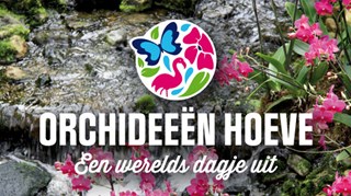 Orchideeen-Hoeve